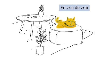 en vrai de vrai-1