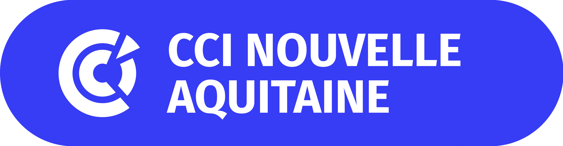 logo_na_bleu